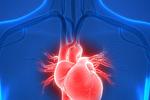 Καρδιά: Οι σημαντικότερες ιατρικές μελέτες που αλλάζουν τα δεδομένα για το 2024