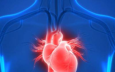 Καρδιά: Οι σημαντικότερες ιατρικές μελέτες που αλλάζουν τα δεδομένα για το 2024