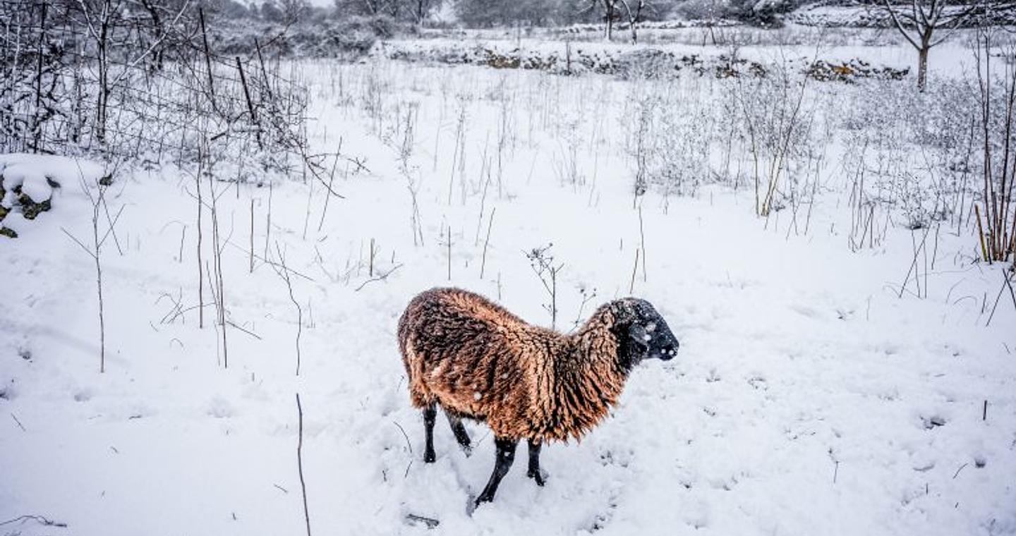 Πού θα χιονίσει από σήμερα το βράδυ – Τσουχτερό κρύο την Πρωτοχρονιά