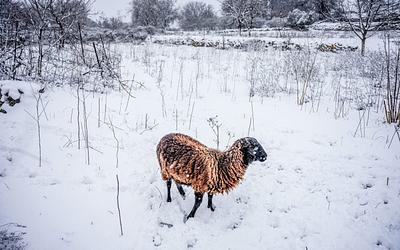 Πρωτοχρονιάτικο «ψύχος»: Έρχεται παγετός και κατακόρυφη πτώση της θερμοκρασίας!