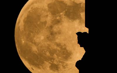 Μαγική «Πανσέληνος του Λύκου» το 2026: Όσα πρέπει να ξέρετε!