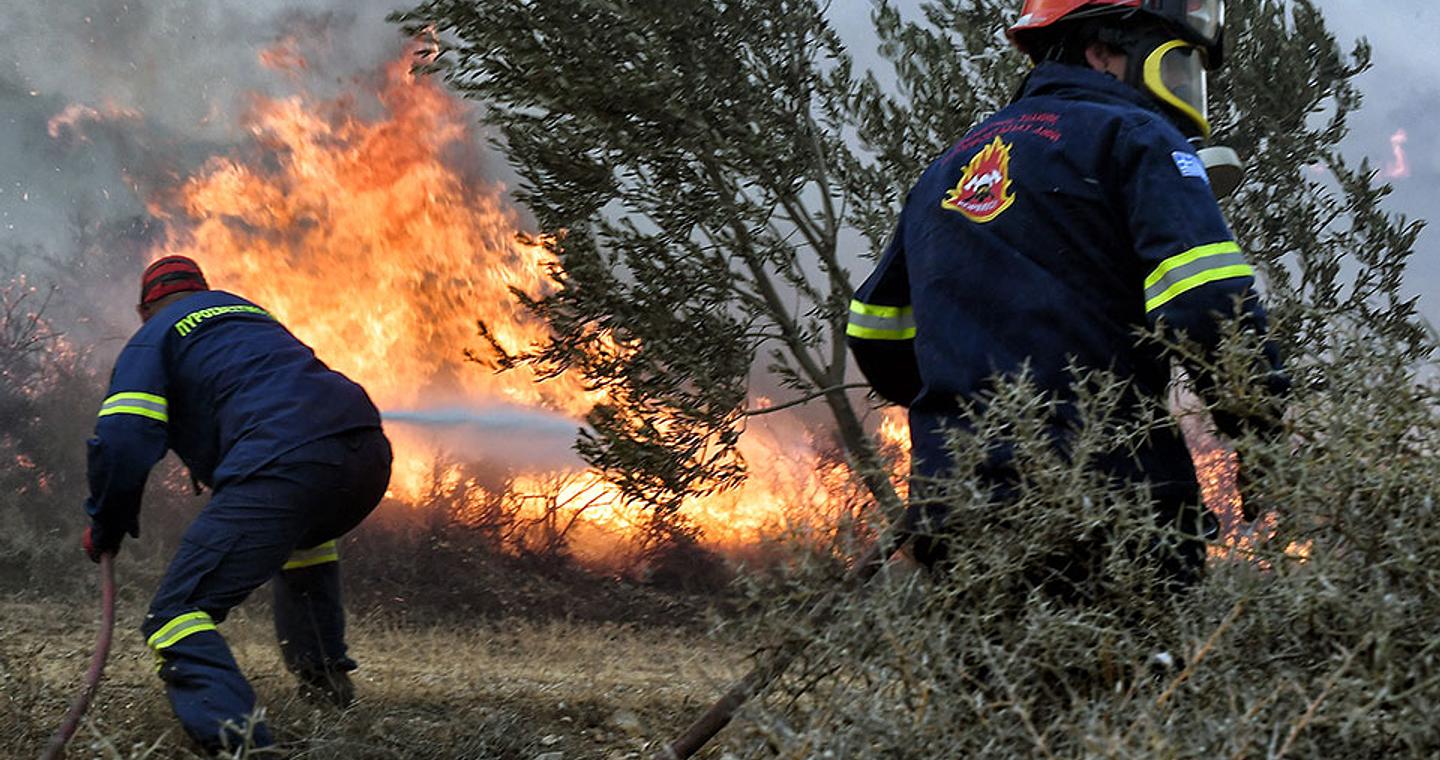 Ηλεία: Φωτιά σε αγροτοδασική έκταση
