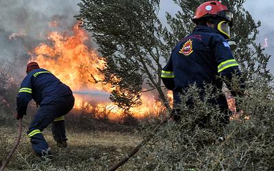 Φωτιά στην Ηλεία: Μάχη με τις φλόγες δίνουν οι πυροσβέστες