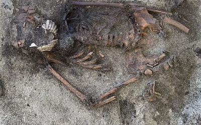 Αίνιγμα στη Νορβηγία: Τι σήμαιναν τα κοχύλια στον τάφο των Βίκινγκ;