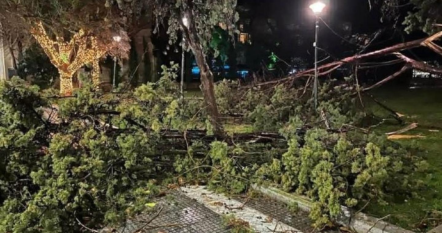 Αλεξανδρούπολη: Καταιγίδα με ριπές έως 150 χλμ/ώρα προκάλεσε εκτεταμένες καταστροφές