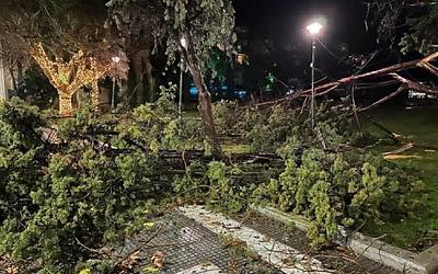 Αλεξανδρούπολη: Καταστροφές από ανεμοστρόβιλο – Δέντρα, ζημιές και κατεστραμμένα αεροπλάνα!