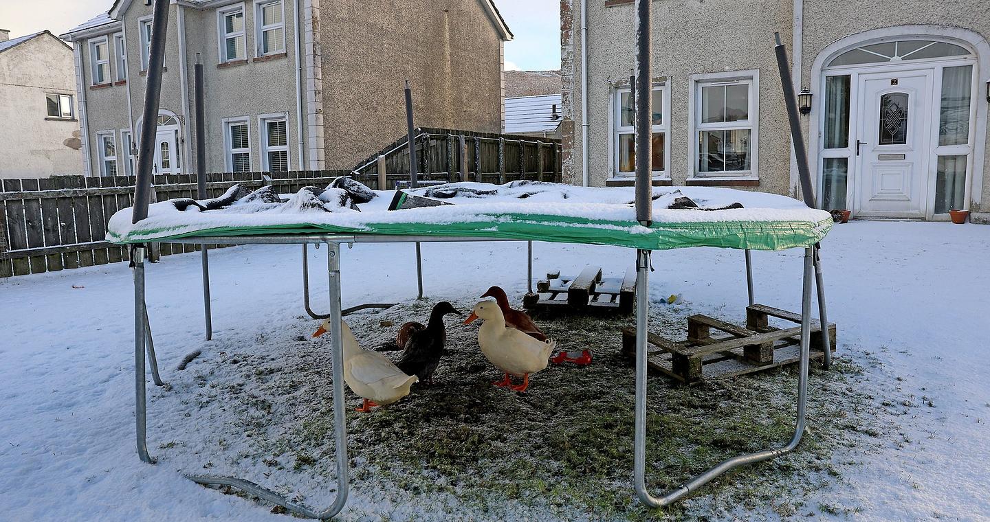 Εκατοντάδες χιλιάδες χωρίς ρεύμα σε Γαλλία και Βρετανία – Κλειστά σχολεία και δυσκολίες στις μετακινήσεις