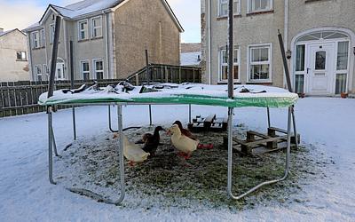 Καταιγίδα "Γκορέτι": Στο σκοτάδι εκατοντάδες χιλιάδες νοικοκυριά σε Γαλλία και Βρετανία!