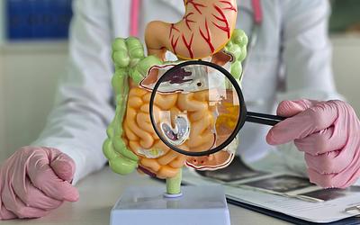 Ελπίδα για τη Νόσο του Crohn: Εξέταση αίματος προβλέπει την εμφάνισή της!