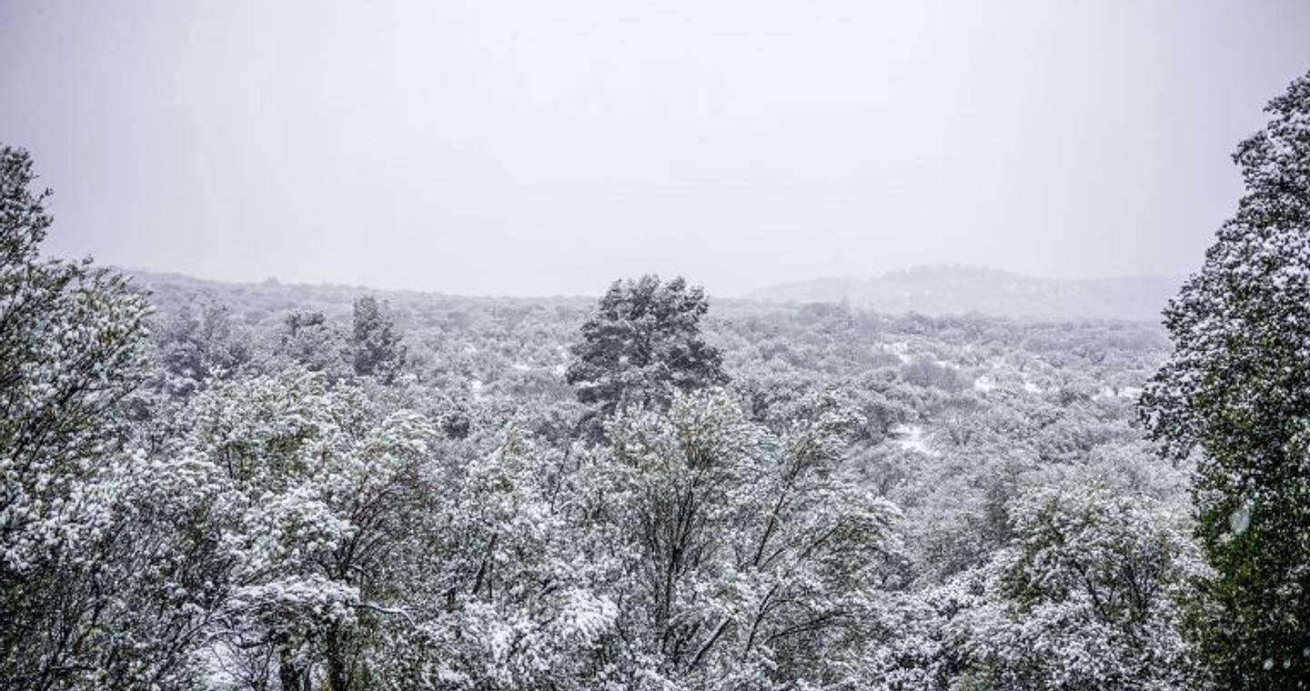 Καιρός: Ψυχρή εισβολή από το Σάββατο, κακοκαιρία από τα παλιά την Τετάρτη με ισχυρές χιονοπτώσεις στα ορεινά – Η πρόγνωση από τη Νικόλ Ζιακοπούλου