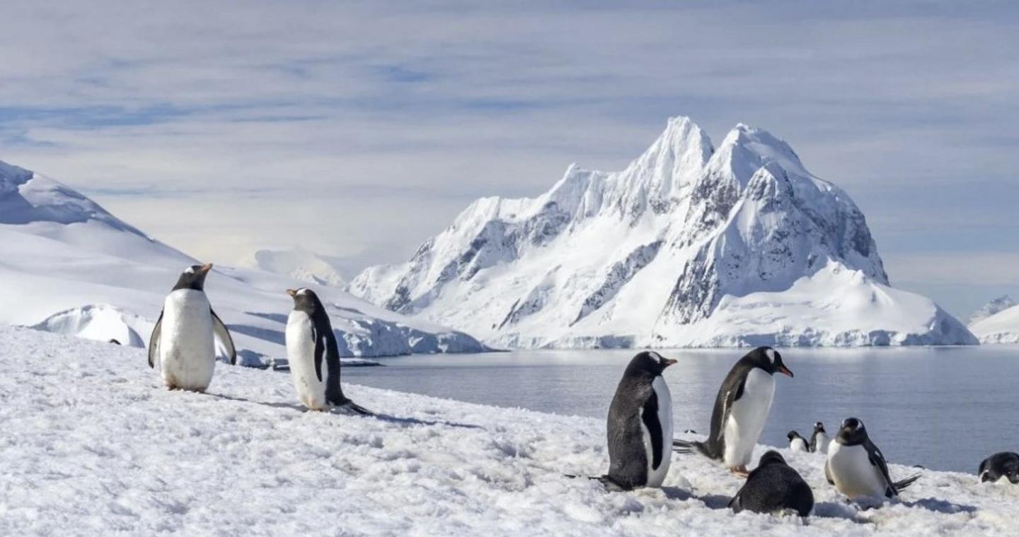 Xάρτης αποκαλύπτει τι πραγματικά κρύβεται κάτω από το τεράστιο στρώμα πάγου της Ανταρκτικής