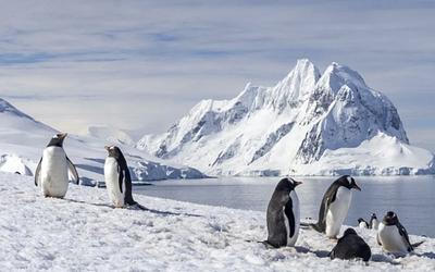 Αποκάλυψη στην Ανταρκτική: Νέος χάρτης αλλάζει όσα ξέραμε!