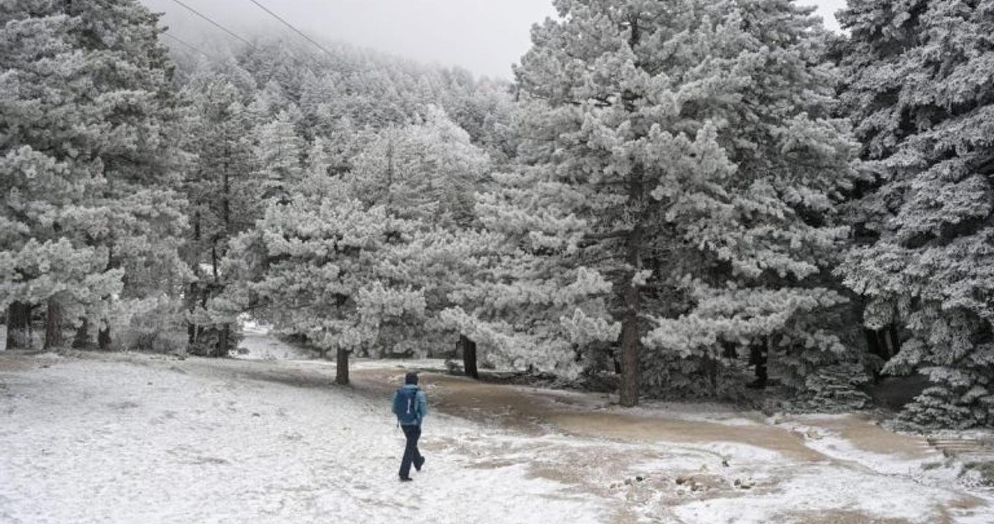 Καιρός: Στους -8 το θερμόμετρο – Πού θα χιονίσει στην Αττική, πρόγνωση από την Αν. Τυράσκη