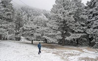 Έρχεται πολικός ψύχος: -8°C και χιόνια!