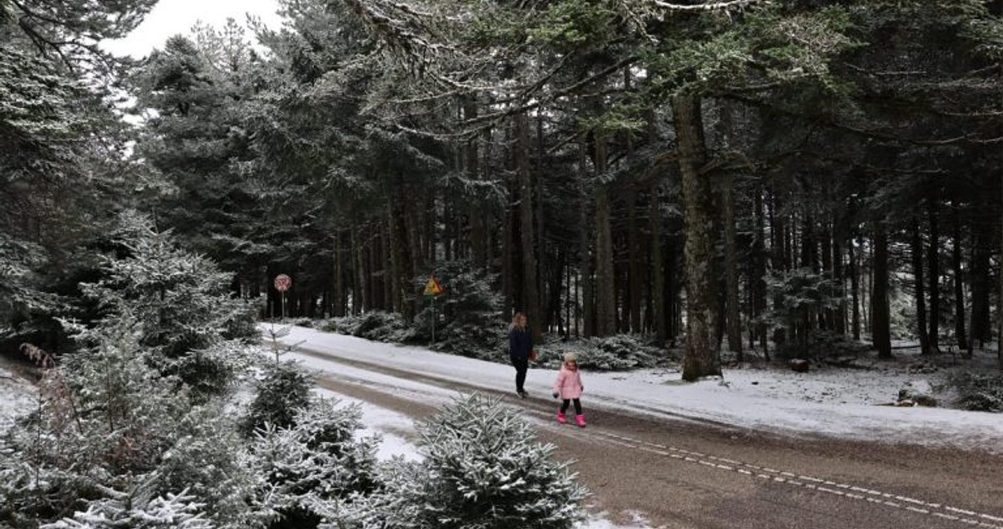 Καιρός: Στην «κατάψυξη» όλη η χώρα τη Δευτέρα – Πόσο θα πέσει η θερμοκρασία – Πρόγνωση από την Αν. Τυράσκη
