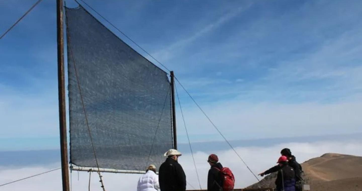 Ποιες είναι οι πράσινες καινοτομίες που αλλάζουν τα δεδομένα στον αγώνα κατά της κλιματικής αλλαγής