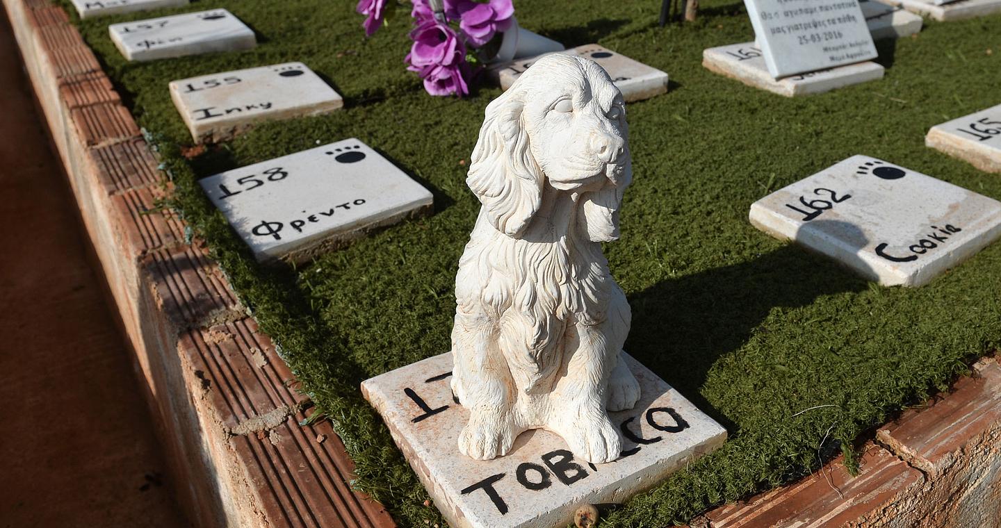 Δημος Αθηναίων: Καταγγελία για παράνομο νεκροταφείο κατοικίδιων ζώων