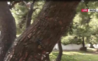 Βάρη: Αυτοκίνητο παρασύρθηκε, γυναίκα εγκλωβίστηκε για ώρες – Συγκλονιστική μαρτυρία