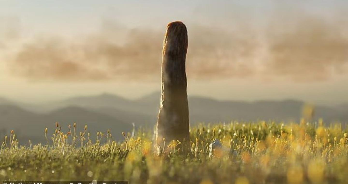 Οι επιστήμονες ανακάλυψαν μια εντελώς νέα μορφή ζωής, με ύψος 8 μέτρα - Φωτογραφίες 