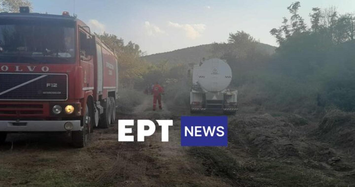 Περιορίστηκε η φωτιά στην Κρύα Βρύση Καρδίτσας