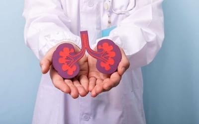 Ανακάλυψη-κλειδί: Η τοξίνη των νεφρών που «χτυπά» την καρδιά!