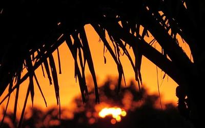 Καύσωνας στην Αυστραλία: Η κλιματική αλλαγή πολλαπλασιάζει τις ακραίες θερμοκρασίες