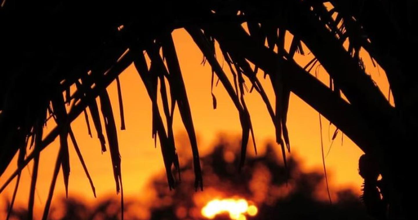 Νέος ακραίος καύσωνας πλήττει την Ανατολική Αυστραλία – Υπεύθυνη η κλιματική αλλαγή σύμφωνα με νέα έρευνα