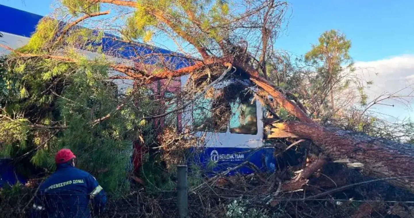 Πεύκο έπεσε σε τρένο στην Ηλεία - Στο νοσοκομείο ο μηχανοδηγός [βίντεο]