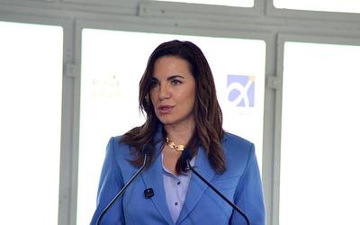 Κεφαλογιάννη: Η απάντηση για τη συνεπιμέλεια που προκαλεί συζητήσεις