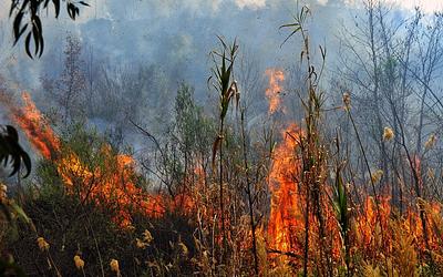 Συναγερμός για φωτιά στον Χορτιάτη: Επιχείρηση κατάσβεσης σε εξέλιξη
