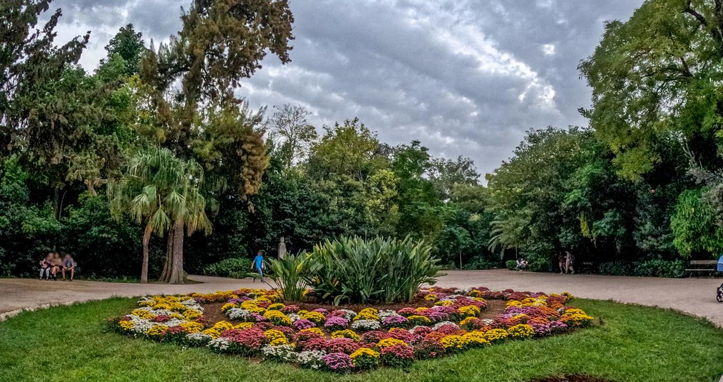 Τσατραφύλλιας: Υποτροπικός αεροχείμαρρος φέρνει την άνοιξη μέσα στο χειμώνα -Το σκηνικό του καιρού τις επόμενες μέρες