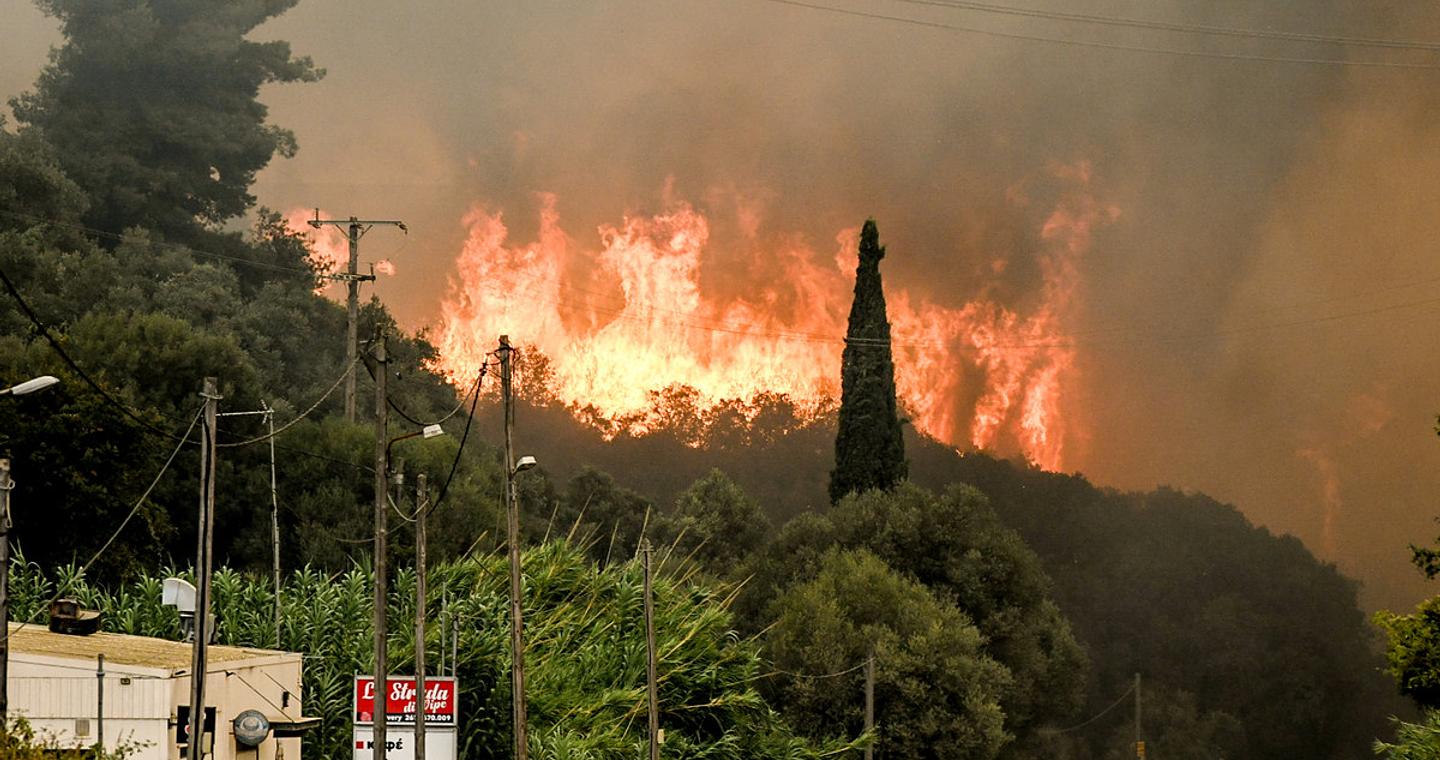 Πάτρα: Πώς η μεγάλη φωτιά άλλαξε τη βλάστηση και το μικροκλίμα – «Τα πράγματα δεν θα είναι τα ίδια από εδώ πέρα»