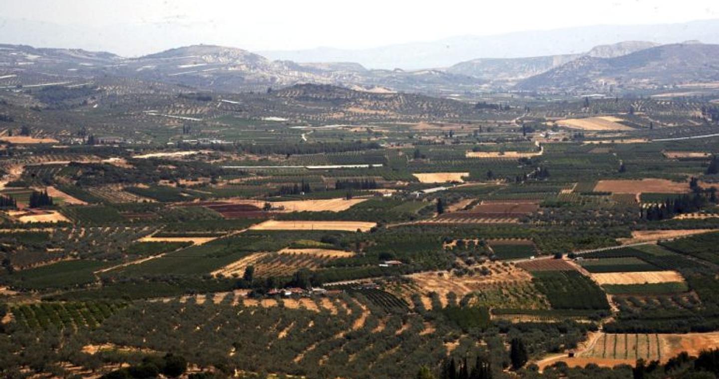 Αιτήσεις ενίσχυσης: Ανοίγει τη Δευτέρα η πλατφόρμα της ΑΑΔΕ για διορθώσεις από αγρότες και κτηνοτρόφους