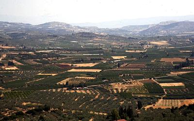 Αγροτικές ενισχύσεις: Τι αλλάζει από Δευτέρα στην πλατφόρμα της ΑΑΔΕ