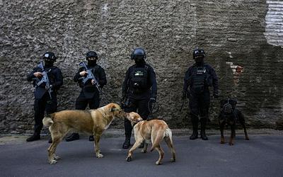 Εξάρθρωση για «τα χταπόδια» στη Χιλή: Το μεγάλο χτύπημα της αστυνομίας