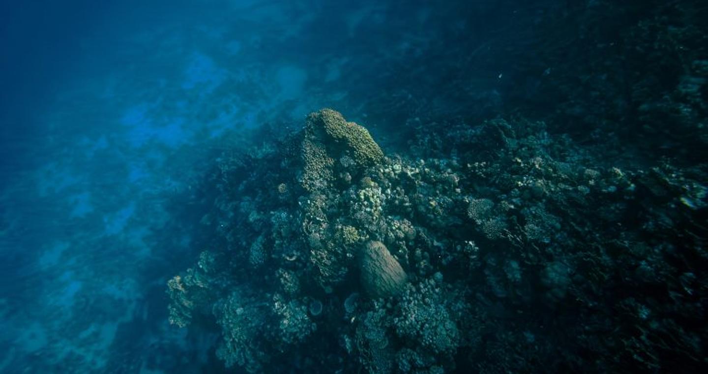 Επιστήμονες προειδοποιούν για έναν κρυφό κόσμο που «κοιμάται» βαθιά κάτω από τη Γη – Θα ξυπνήσει με κάτι που θα συμβεί μόνο μία φορά σε χιλιάδες χρόνια;