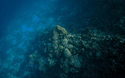 Τα «ενδογήινα» όντα στα έγκατα της Γης που νικούν τον χρόνο