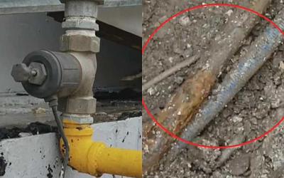 Οι συγκλονιστικές αποκαλύψεις που οδήγησαν στη σύλληψη του ιδιοκτήτη της «Βιολάντα»