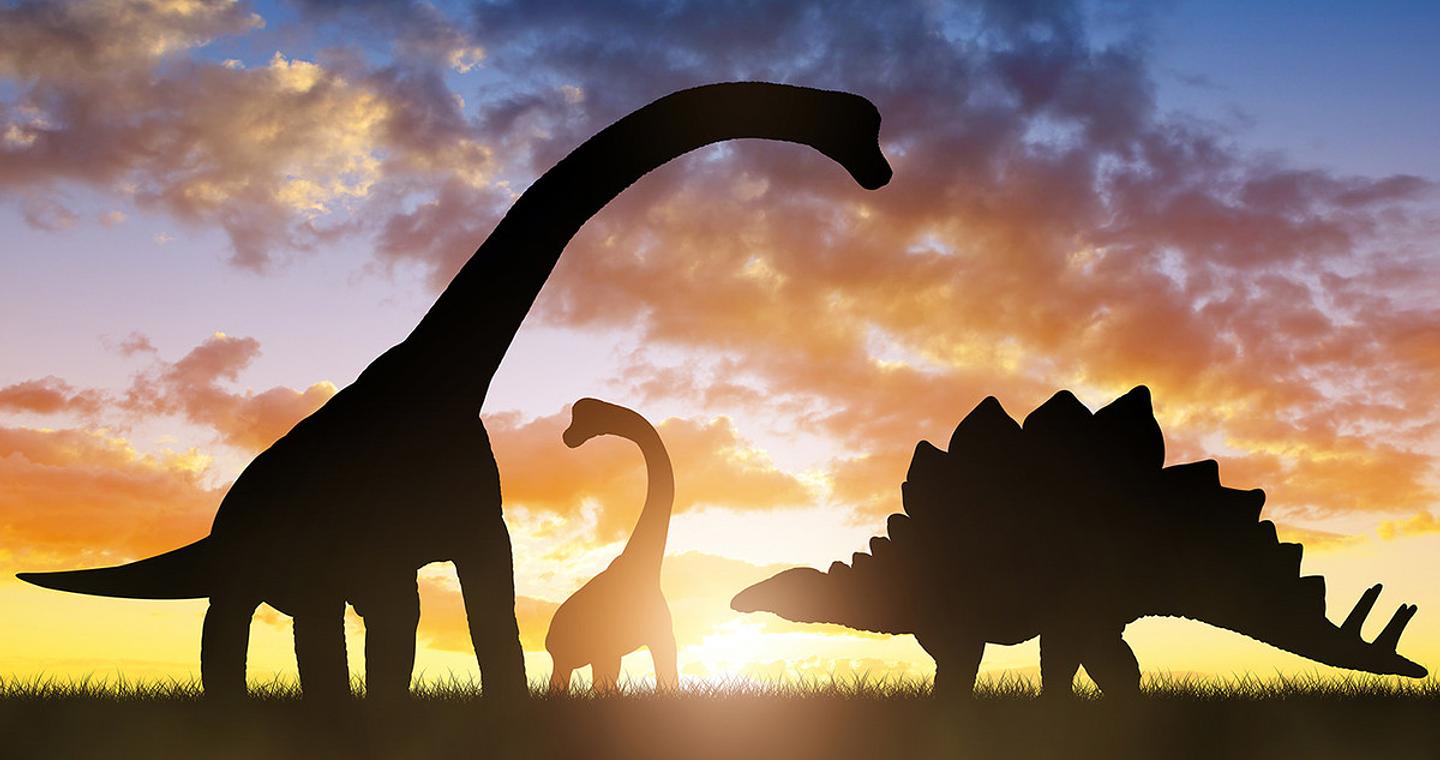 Οι επιστήμονες ανακάλυψαν απολίθωμα «ακανθώδους δράκου» δεινοσαύρου ηλικίας 125 εκατομμυρίων ετών