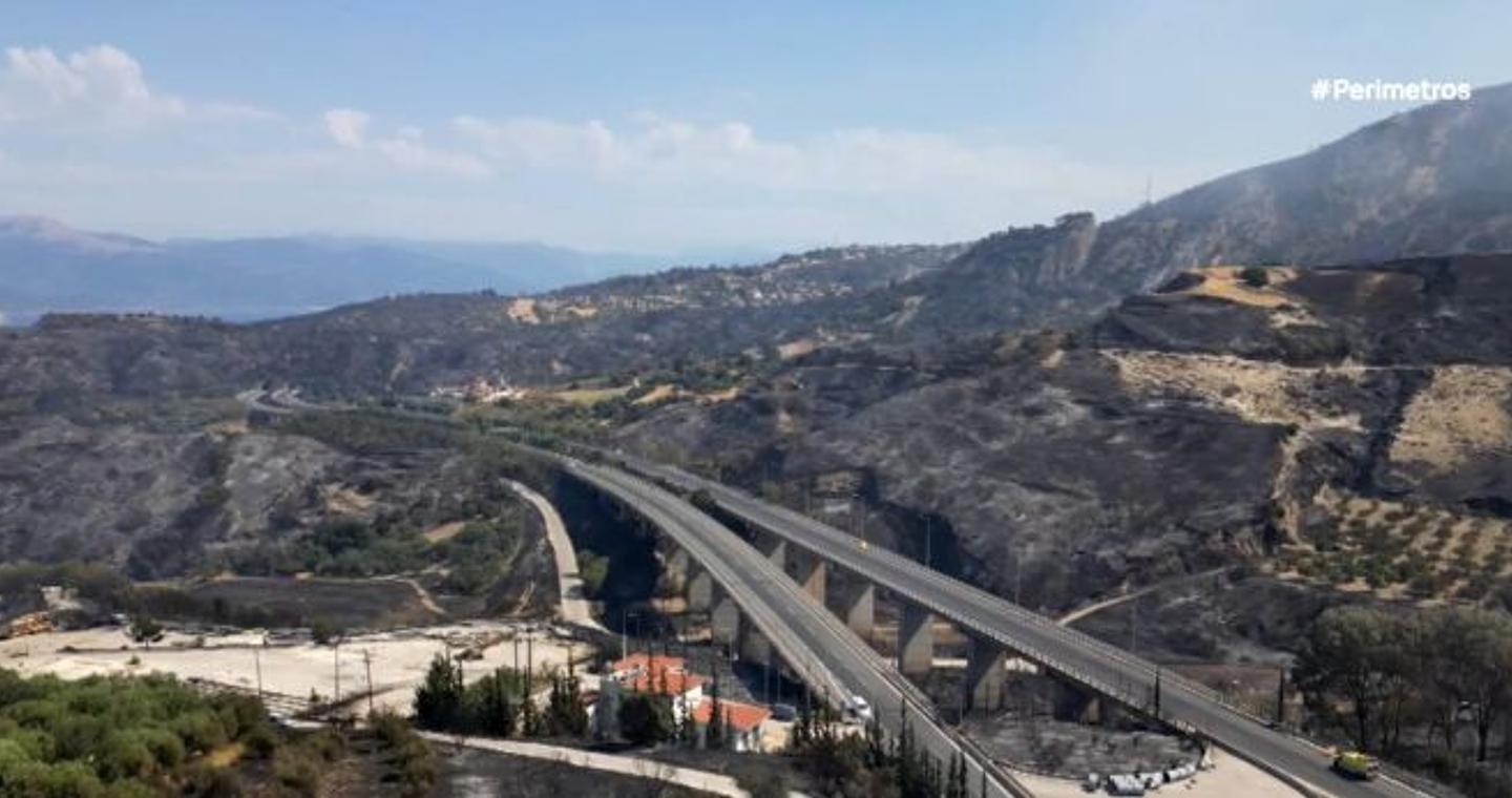 Πάτρα: Δυσοίωνες οι προβλέψεις για την αποκατάσταση του περιβάλλοντος στις καμένες περιοχές