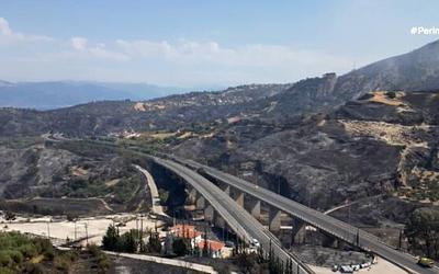 Καμένες εκτάσεις Αχαΐας: Άνοδος θερμοκρασίας εδάφους έως και 12 βαθμούς!