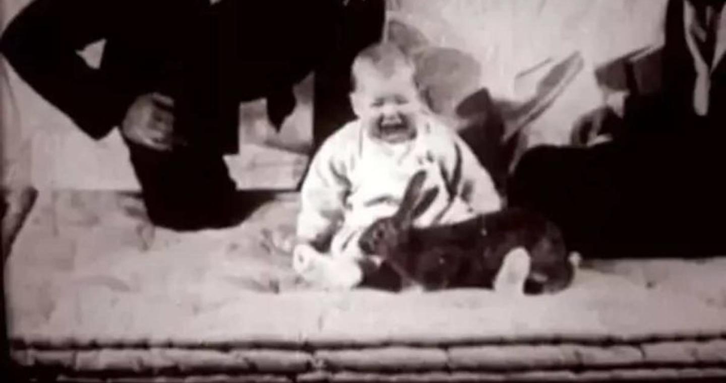 Ένα από τα πιο ανήθικα πειράματα που έχουν γίνει ποτέ σε ανθρώπους: Τι έκαναν επιστήμονες στον μικρό Άλμπερτ