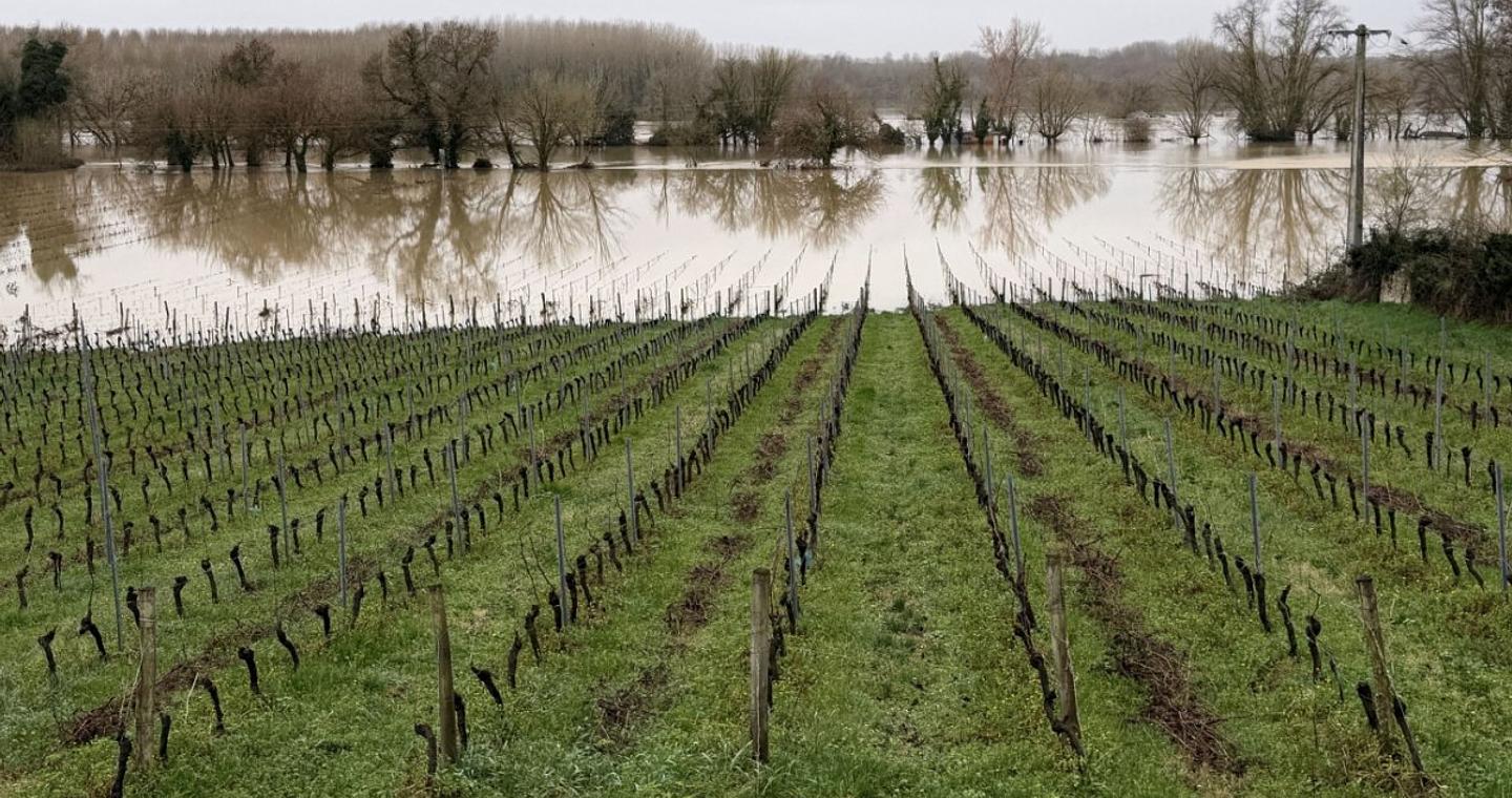 Κλιματική αλλαγή: Οι εκτεταμένες πλημμύρες στη Μεσόγειο πυροδοτούν φόβους για ελλείψεις και άνοδο τιμών