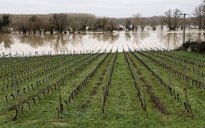 Νέα δεδομένα για το καλάθι του νοικοκυριού: Η Μεσόγειος «βουλιάζει» και οι τιμές εκτοξεύονται