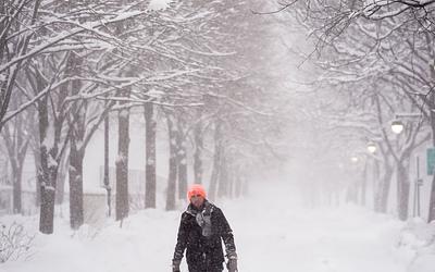 Στο έλεος του χιονιά οι ΗΠΑ: Εκατομμύρια εγκλωβισμένοι και χιλιάδες ακυρώσεις πτήσεων