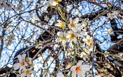 Τι αλλάζει στον καιρό: Τα νέα δεδομένα για τον Μάρτιο του 2026
