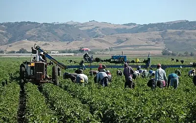 Αποκαλύπτεται το κύκλωμα της φρίκης στα Φάρσαλα με θύματα ανυποψίαστους μετανάστες