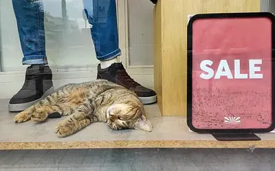 Αποκαλύπτεται η αλήθεια για τις εκπτώσεις: Γιατί οι Έλληνες γύρισαν την πλάτη