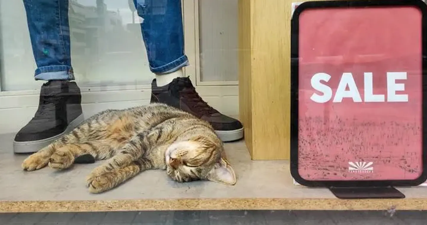 Εκπτώσεις: Η ακρίβεια μείωσε τους τζίρους – Καμπανάκι για εμπορική “ερήμωση”