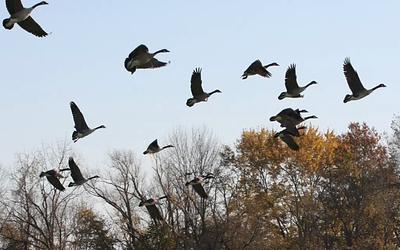 Αποκαλύπτεται η νέα στρατηγική του ΠΟΥ: Τι αλλάζει στα εμβόλια της γρίπης